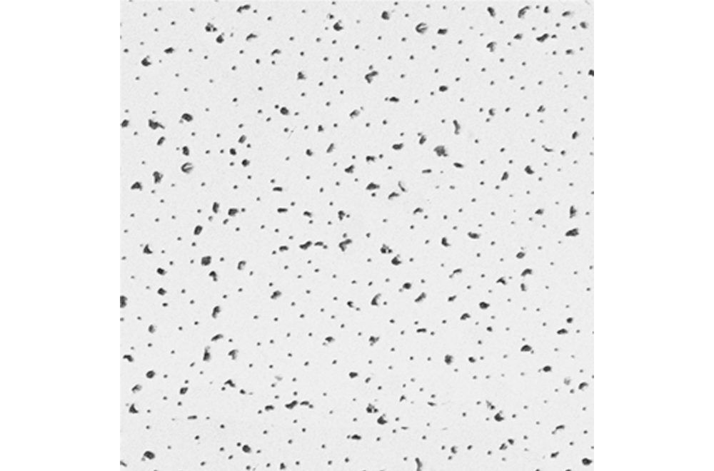 Radar CGC Ceiling Tile 2x2 and 2x4 (3)