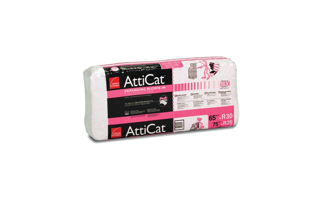 Atticat (1)