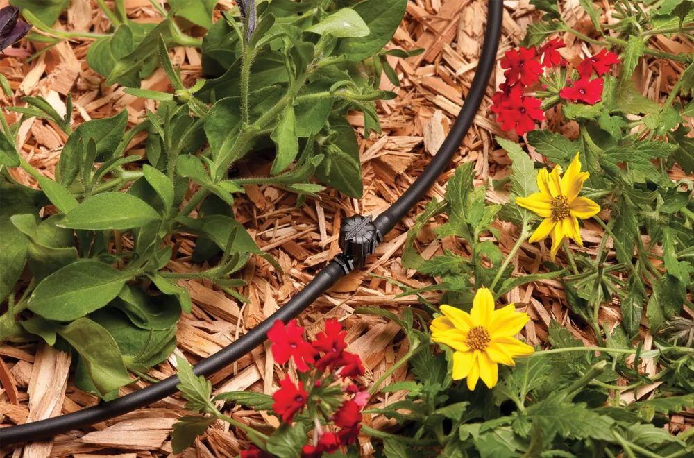 Rainbird .25 inch Barbed Valve MV25 (2)