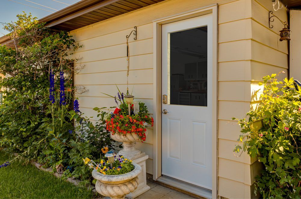 clear 1-lite door insert 2
