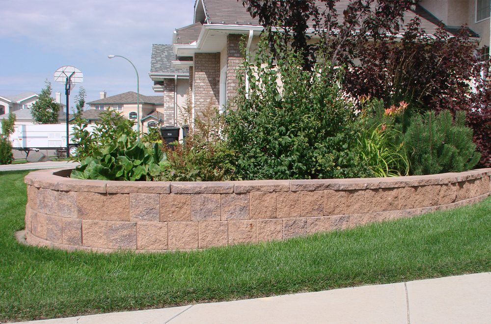 Junior Wall Block Tan Brown