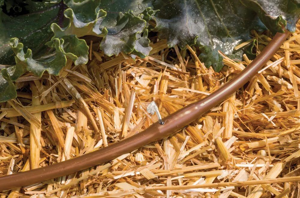 Rainbird .25 inch Emitter Tubing A50909 (2)