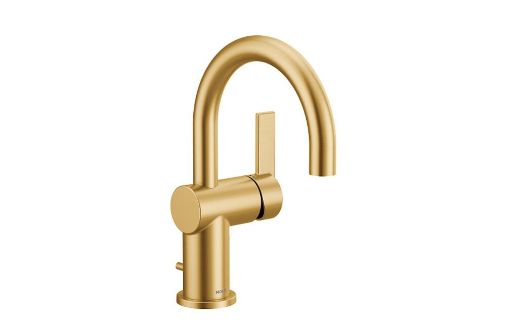 Moen Cia 6221BG 1