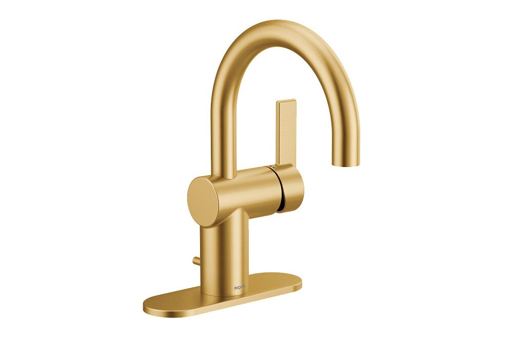 Moen Cia 6221BG 2